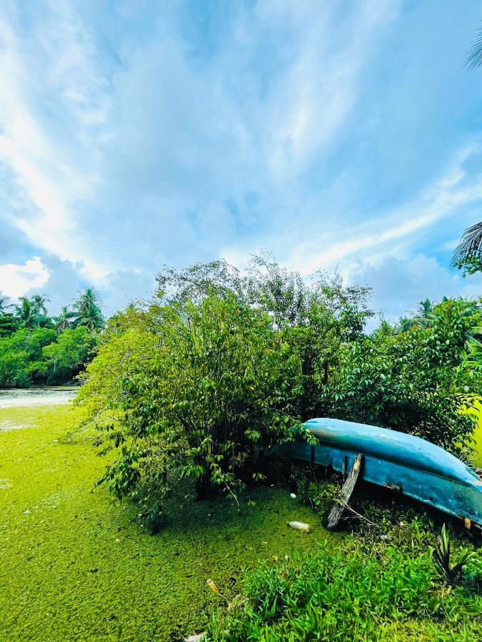 ديكويلاّ تين The Lagon House المظهر الخارجي الصورة