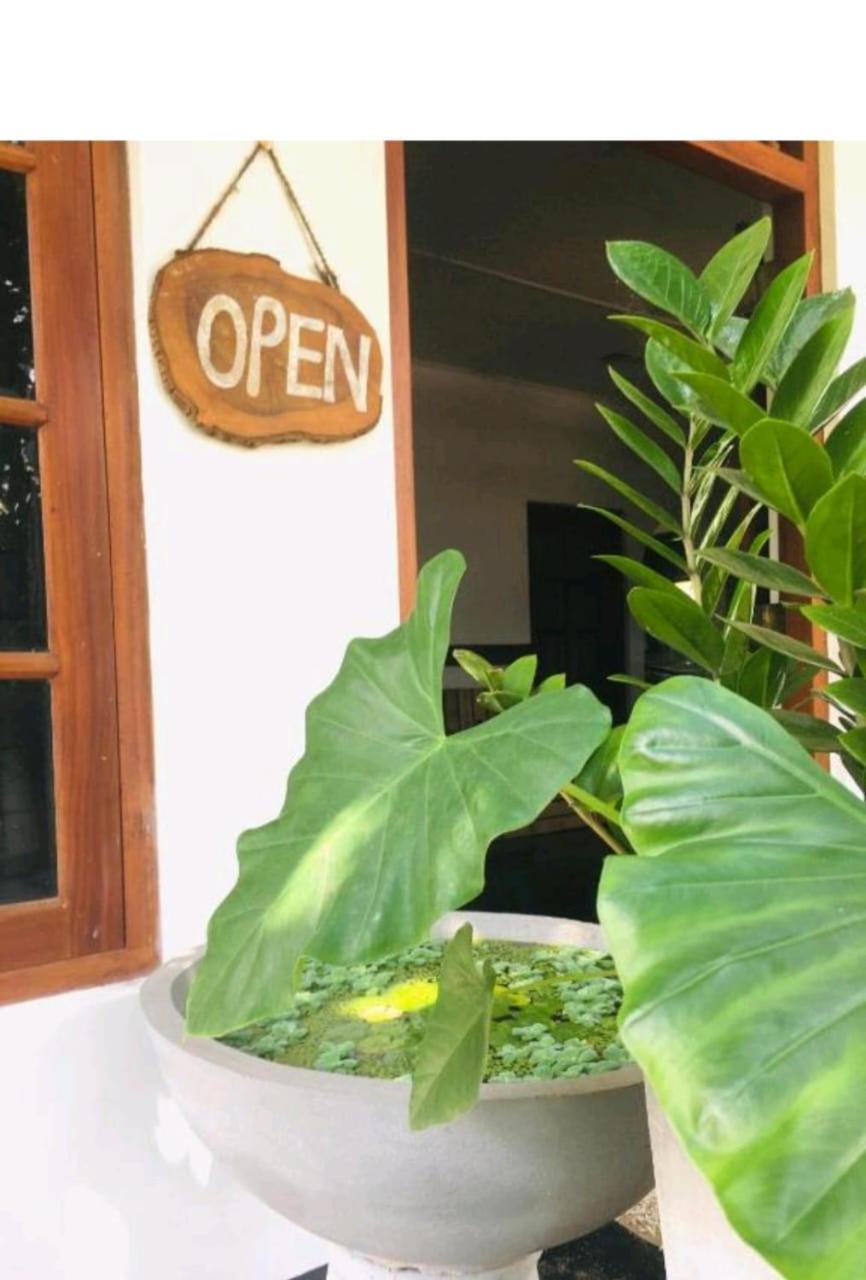 ديكويلاّ تين The Lagon House المظهر الخارجي الصورة